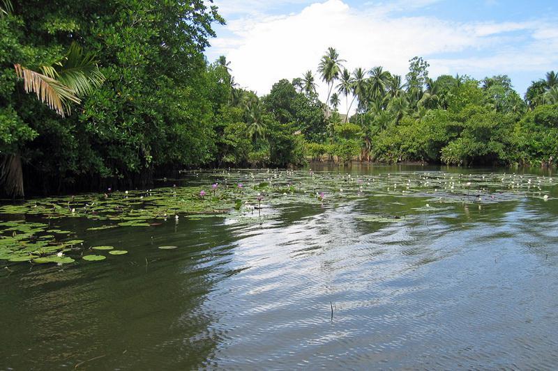 Sri Lanka, Bentota